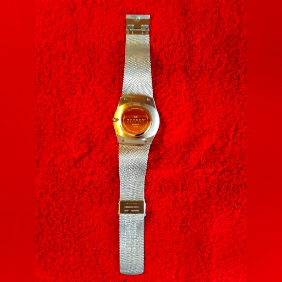 Men\'s Skagen watch
